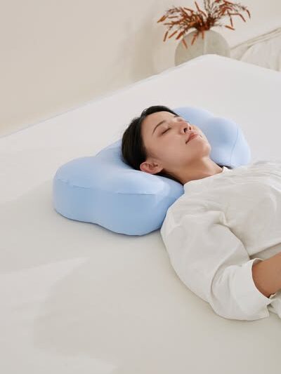 fanwish memory foam pillow